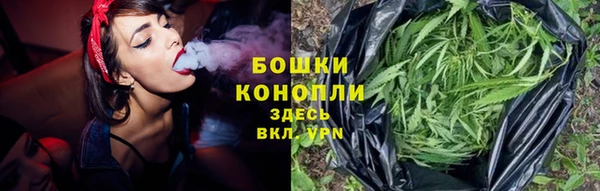 соль ск Абаза